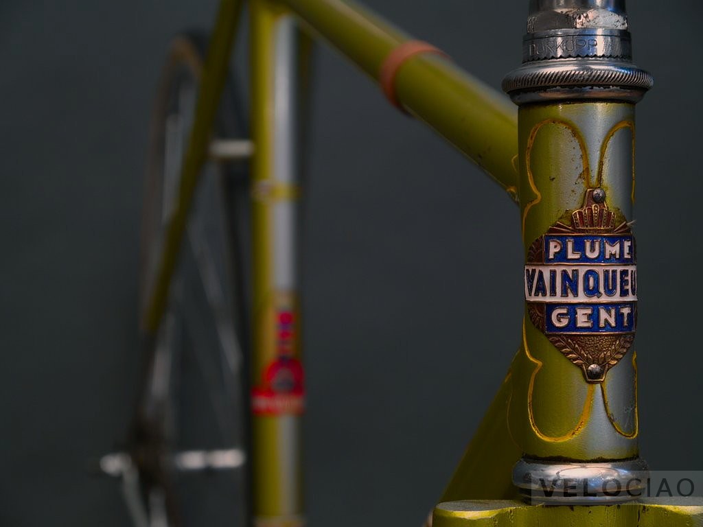 Plum Vainqueur Pista