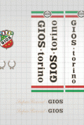 Gios-Torino-Decalset-Super-Record-2
