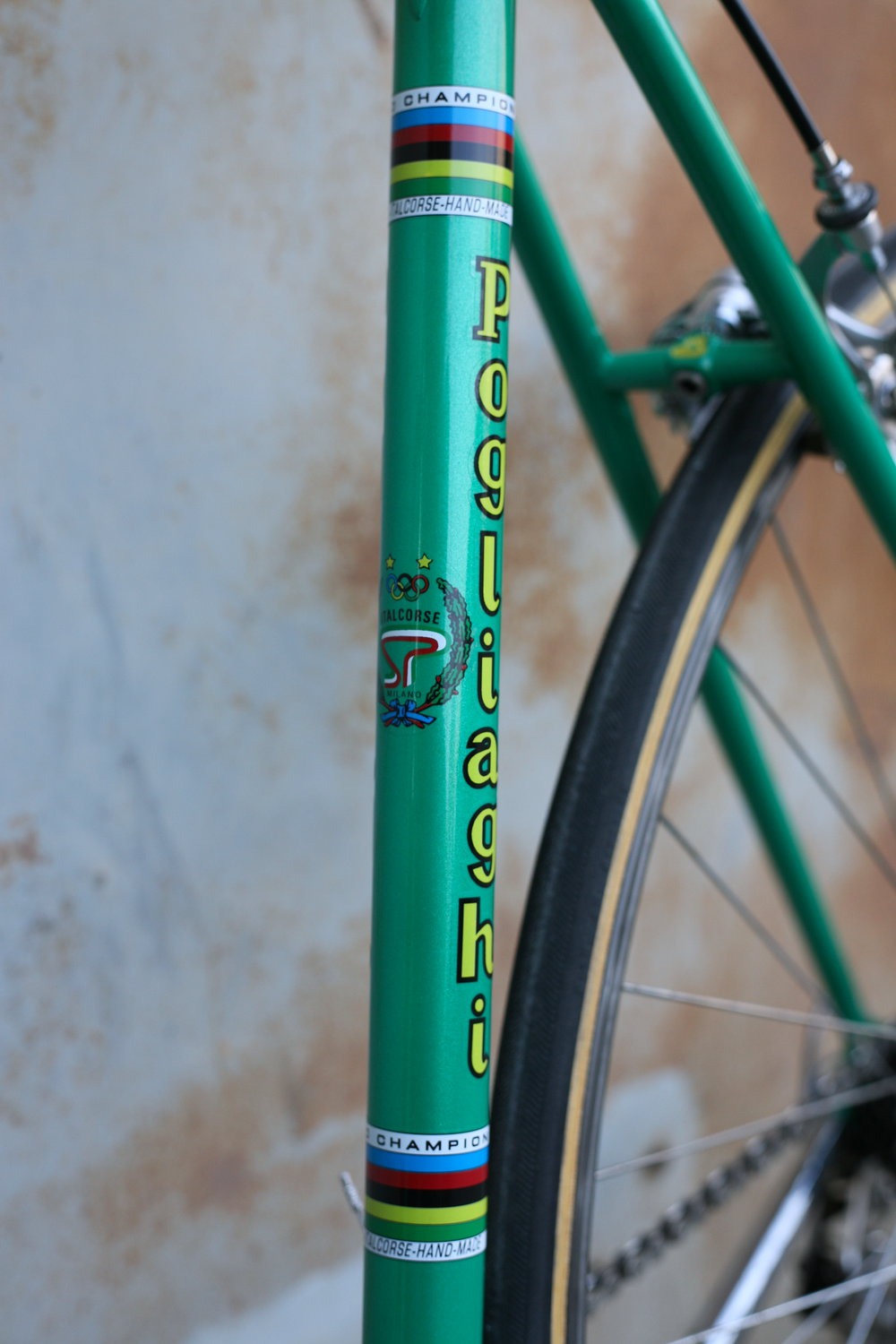 pogliaghi bike
