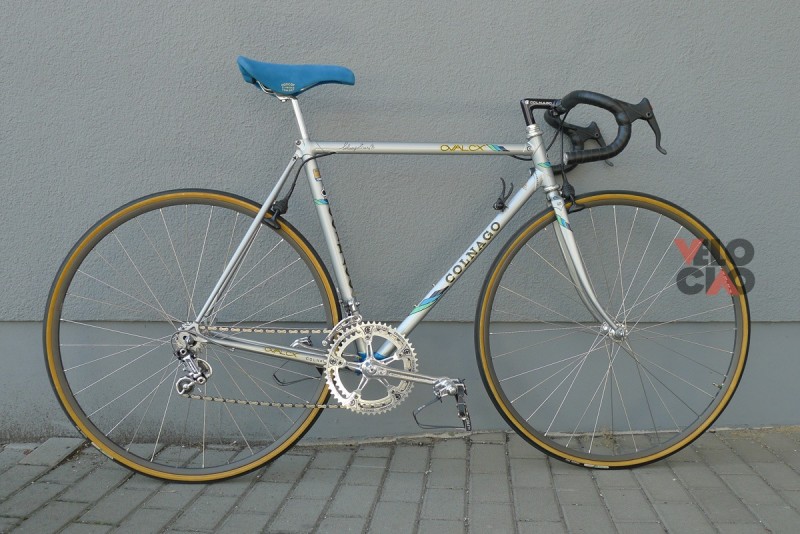 NOS COLNAGO FRAME FORK STICKER
