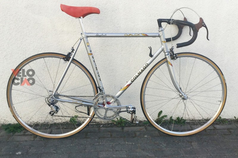 colnago oval cx